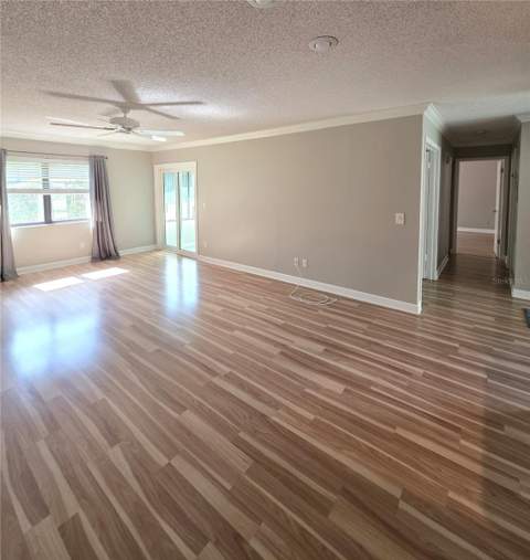 4045 Bluff Oak Court, Palm Harbor FL - photo 9 of 29