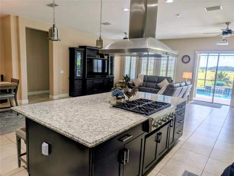 290 Silver Maple Road, Groveland FL - photo 6 of 61