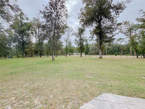6530 NW 38th Place, Bell FL - photo 20 of 29