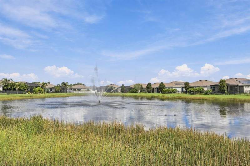 3 bedroom Single Family Residence at 13344 Waterleaf Garden Circle, Waterleaf Ph 6B, Riverview — photo 5