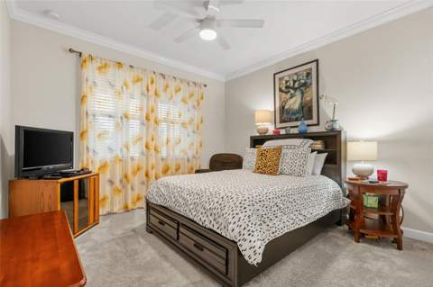 31687 Cabana Rye Avenue, San Antonio FL - photo 18 of 70