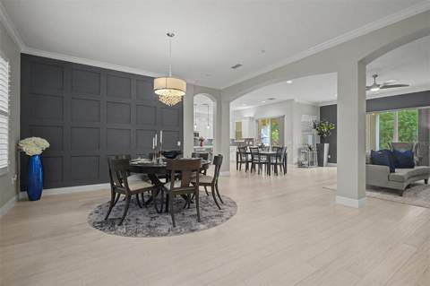 5116 Abisher Wood Lane, Brandon FL - photo 7 of 72