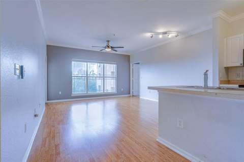 1216 S Missouri Avenue #311, Clearwater FL - photo 13 of 30