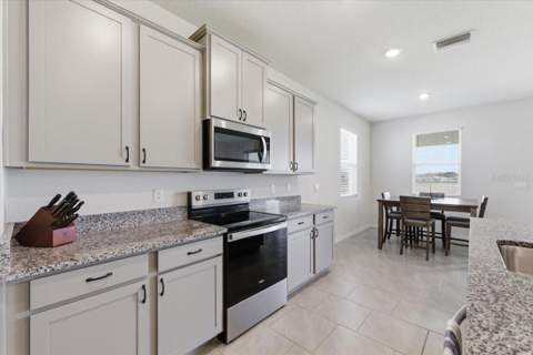1413 Tropical Oasis Avenue, Plant City FL - photo 7 of 39