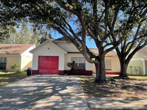 8211 Clermont Street, home for sale in Tampa 33637