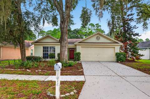 1016 Hardwood Drive, starter home for sale in Valrico