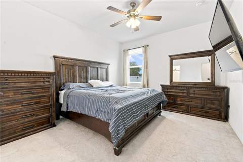 1045 Dudley Drive, Kissimmee FL - photo 6 of 22