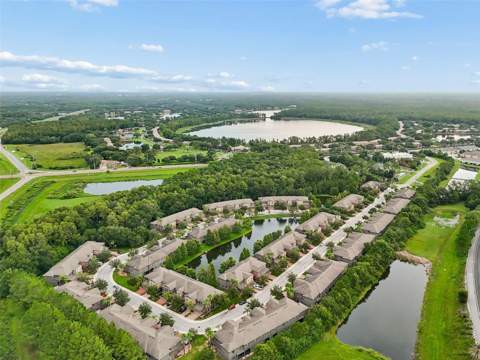 17301 Old Tobacco Road, Lutz FL - photo 6 of 6