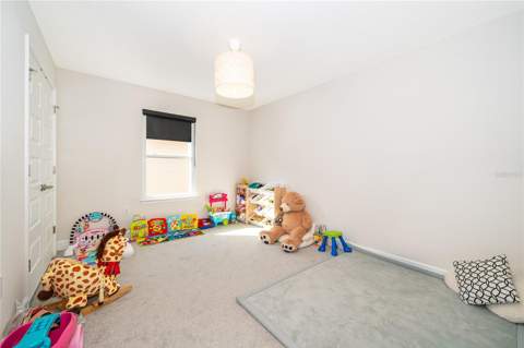 3852 Sagefield Drive, Harmony FL - photo 18 of 31