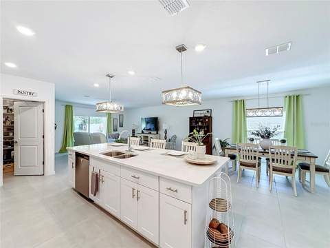33916 Sky Blossom Cir, Leesburg FL - photo 9 of 29