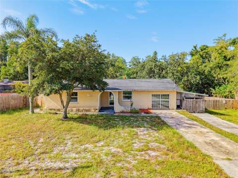 1116 E Oakwood Street, Tarpon Springs FL - photo 9 of 68