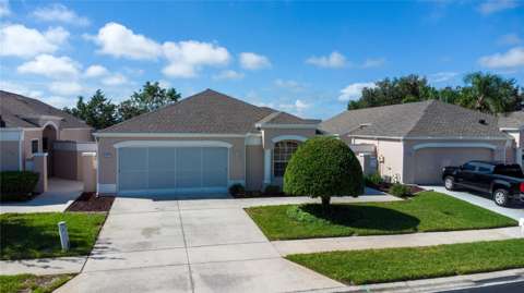 227 Royal Palm Way, pool for sale in Spring Hill