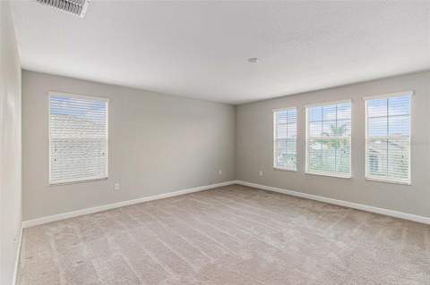 11755 Winterset Cove Drive, Riverview FL - photo 13 of 24