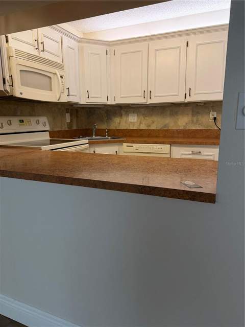 2687 Pine Ridge Way #H1, Palm Harbor FL - photo 10 of 28