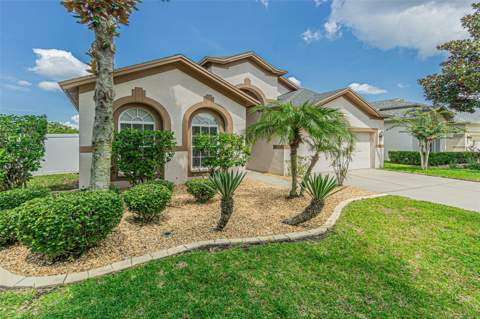 11345 Flora Springs Drive, Riverview FL - photo 11 of 35