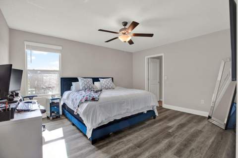 3707 Daisy Bloom Place, Tampa FL - photo 10 of 23