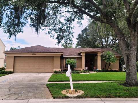 9736 Cypress Shadow Avenue, home for sale in Tampa 33647