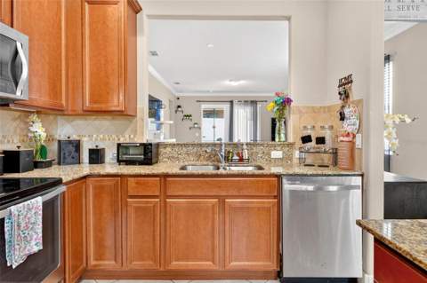 30539 Lipizzan Terrace, Mount Dora FL - photo 10 of 64