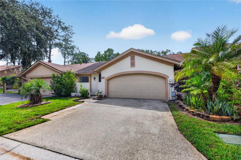 Carrollwood Sprgs Cluster Hms