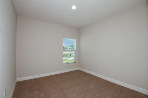 31717 Bienville Lane, Wesley Chapel FL - photo 16 of 31