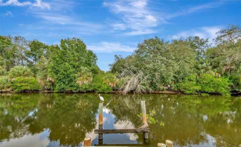 236 N Saint Thomas Circle, home for sale in Apollo Beach 33572