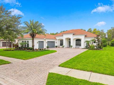 17314 San Aringo Place, luxury home for sale in Lutz