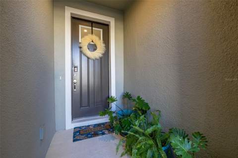 1177 Seaside Mist Trail, Kissimmee FL - photo 7 of 60