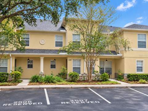 234 Penmark Stone Pl, Valrico FL - photo 8 of 12