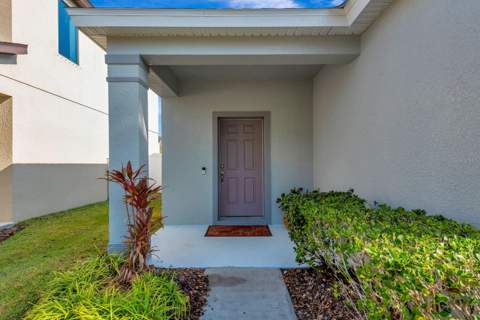 9116 Mountain Camellia Lane, Riverview FL - photo 7 of 75