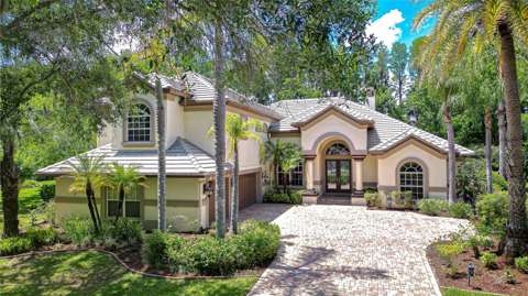 20915 Lake Vienna Drive, luxury home for sale in Land O' Lakes