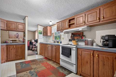 1501 Pasadena Drive, Seffner FL - photo 6 of 6
