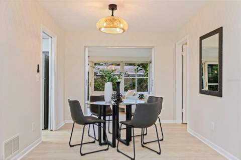 1011 Macrae Avenue, Clearwater FL - photo 10 of 35
