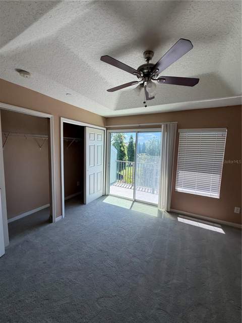 4817 Tuscan Loon Drive, Tampa FL - photo 22 of 23