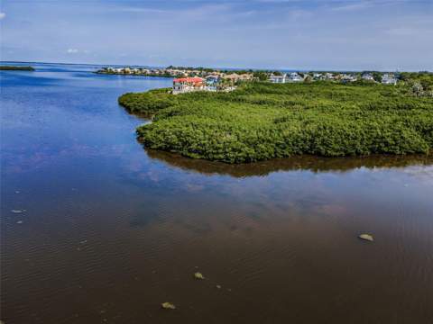 1620 Sea Breeze Drive, Tarpon Springs FL - photo 11 of 99