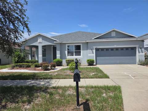 11114 Hartford Fern Drive, home for sale in Riverview 33569