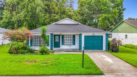 11510 Pampas Drive, home for sale in New Port Richey 34654