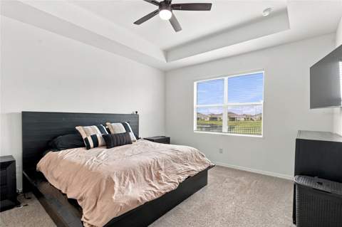 8514 Bold Cypress Lane, Wesley Chapel FL - photo 18 of 48