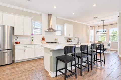 21481 Snowy Orchid Terrace, Land O Lakes FL - photo 6 of 6