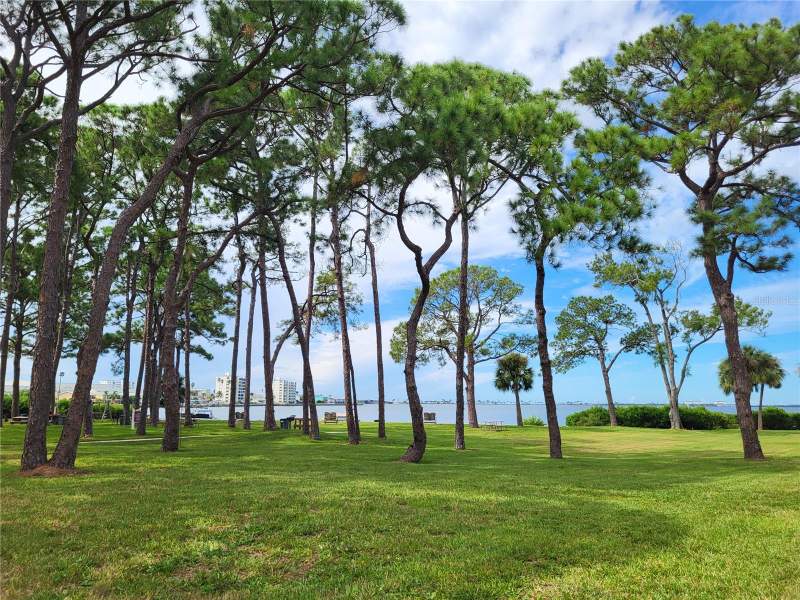1 bedroom Condominium at 2700 Bayshore Boulevard #4102, Mediterranean Manors, Dunedin — photo 4