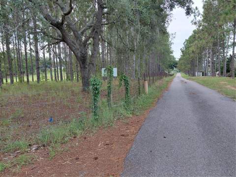 14240 Lost Lake Road, Clermont FL - photo 22 of 47