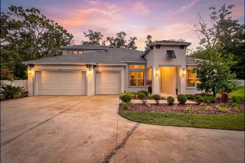 2304 Clement Road, home for sale in Lutz 33549