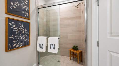 3867 Fraccareta Way, Wesley Chapel FL - photo 10 of 32