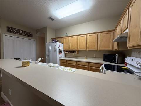 923 Bridgeway Boulevard, Orlando FL - photo 9 of 42