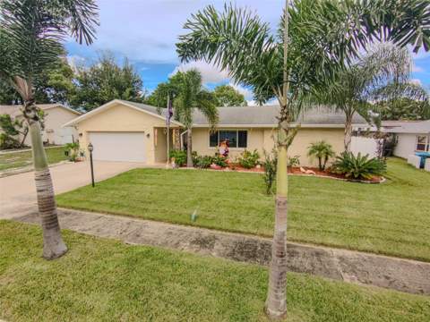 161 Sunward Avenue, Palm Harbor FL - photo 6 of 6