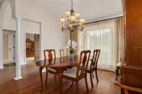 2715 Country Woods Lane, Palm Harbor FL - photo 11 of 54