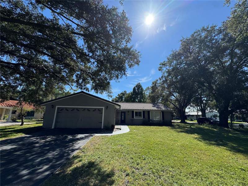 Orangewood Shadowwood