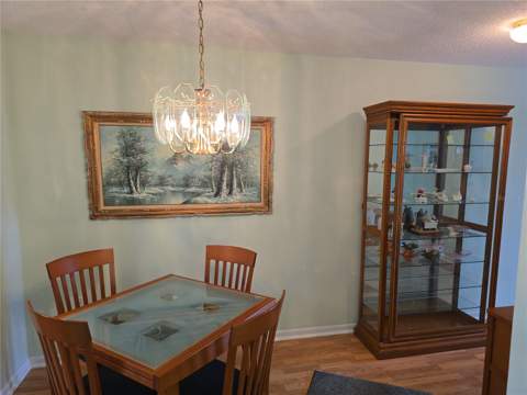 5603 80th Street #410, St Petersburg FL - photo 8 of 57