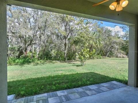 17014 Oval Rum Drive, Wimauma FL - photo 10 of 30