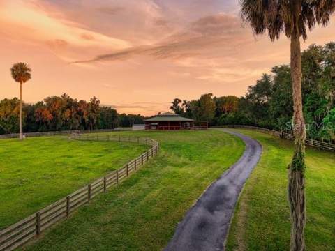 7000 NW Hwy 320, Micanopy FL - photo 6 of 72