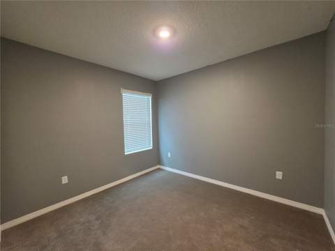 17007 Blister Wing Drive, Wimauma FL - photo 13 of 14
